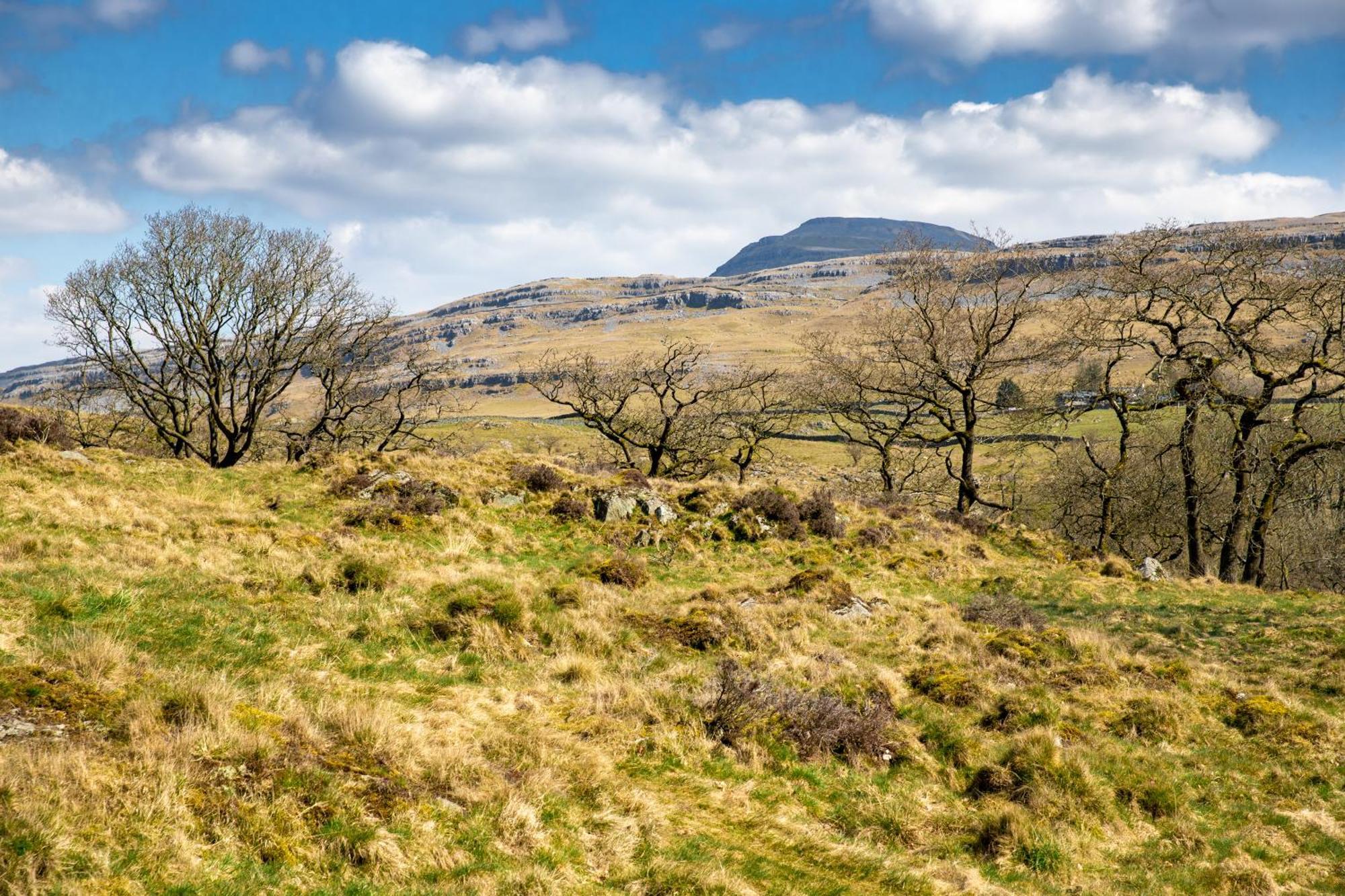 Falls Park Ingleton  Luaran gambar
